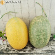 ADAMES Artificial Cantaloupe Melon, Foam Plastic Fake Cantaloupe Melon, Toy Decorative Props Food Mo
