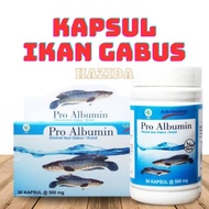 Kapsul Kutuk / Ikan Gabus Pro Albumin Asli Ekstrak Ikan Gabus Original