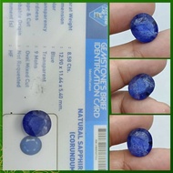 Natural blue sapphire Tanzania big size memo Gemlab safir Afrika