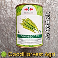 DJANGO F1 HYBRID PANIGANG PEPPER / SILING HABA (25 GRAMS) by EAST WEST SEED
