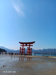 5月底會去日本旅遊 可幫忙代購