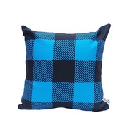 Ceruan Cushion - Sofa Cushion - 40 x 40