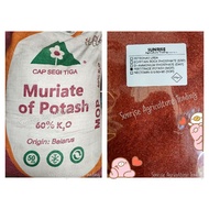 2kg Muriate of Potash / Baja MOP / Potassium Chloride / Fertitrade / Fertilizer