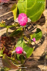 星光紅寶石 天然鑽石 14K白金介指 Star Ruby diamond ring
