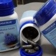 Habbatussauda Magblue by Magic Blue Black Seeds Capsule Original Makanan Sunnah Kapsul Ori Habbatus 