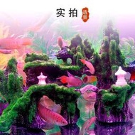 【免運】魚缸造景裝飾仿真假山套餐水族箱擺件烏龜缸金魚缸小房子大型景觀