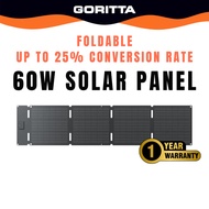 EcoFlow 60W Portable Solar Panel (Type-C)