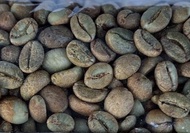 สารกาแฟ Arabica & Robusta แบบยกกระสอบ  (Natural Process)☕🫘🥜🍋🍑