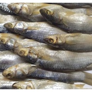 ikan masin belanak / ikan kering belanak