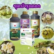 #ชุดบำรุงดอก ระยะกระดุม มะเขือพวง หัวกำไร ดอกบาน หางแย้ไหม้ ( อะมิโนทุเรียน+โปรซีวีดพลัส+ไฮพาวเวอร์เ