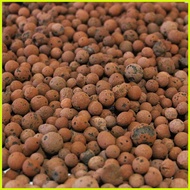 ♞Hydroton Clay Pebbles 500g LECA pebbles [VICTORIA INTEGRATED FARM BATAAN]