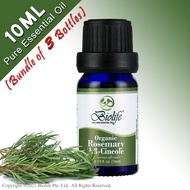 (Bundel of 3 Bottles) Biolife Organic Rosemary 100% Pure Aromatherapy Natural Organic Essential Oil (10ml Single-Note Oil) suitable use for Diffuser Humidifier Massage Skin Care