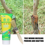 250g Plant Tree Wound Healing Agent Applicant Fruit Tree Grafting Medicine Healing Cream Bonsai Sealing Incision Stump Sapling