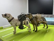 ThreeA 3A 1:6 狗兩隻