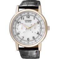 Citizen Ao9003-16A Analog Eco-Drive White Dial Gold Tone Black Leather Men'S Watch