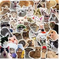 Set of 50 Stickers for Laptops, Mobile Phones, Skateboards, Fun Cat Shaped Skateboards