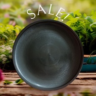 plant plate 18 inches