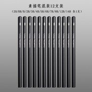 Bộ Bút Chì Vẽ Phác Thảo Cơ Bản Dành Cho Người Mới Bắt Đầu Bộ Bút Chì 2B H Bộ Bút Chì Nghệ Thuật 4B B