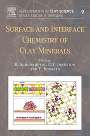 Surface and Interface Chemistry of Clay Minerals Robert Schoonheydt