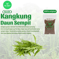 ( 1 Kg ) Benih Biji Kangkung Darat  Kangkung Cabut Curah  Microgreens