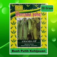 Benih Timun Mentimun Ketimun Amanda Cap Mutiara Bumi Isi 20 Gram Timun Tipe Putih Kehijauan