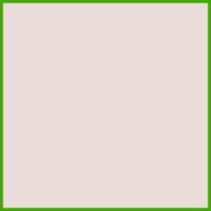 ➼ ➩ ➟ Boysen Healthy Home Odorless Antibacterial Latex Paint 4 Liter (Gallon) All Colors Available