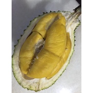 【Klang & Klang Valley】Fresh Organic Durian 300g（1box) (收到订单后，才开榴莲） 新鲜有机榴莲 D24 101 Musang King  猫山王