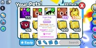 Roblox Pet Simulator X Huge Pet