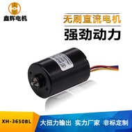 Customization36MM Micro DC Brushless Motor with Long Lifespan3650Brushless Motor