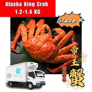 💯Grade A💯Alaska Cooked King Crab / 阿拉斯加斯帝皇蟹(1.2-1.4kg/nos) Ketam Laut Besar  - Hippos Frozen Mart