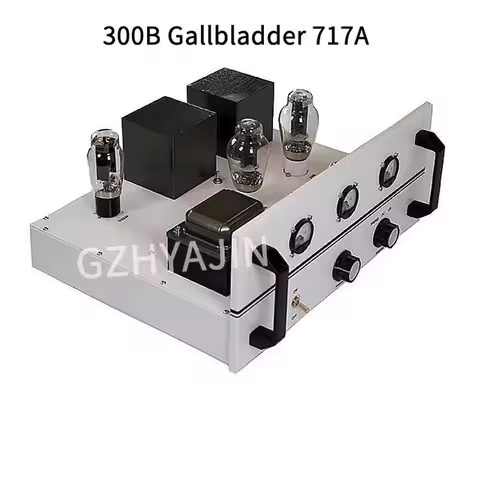 Western Electric 9W*2 300B Gallbladder 717A Promotes HIFI Single End Class A Electronic Tube Rear St