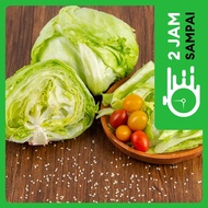 Lettuce Head  (300 - 400 gram / pack)