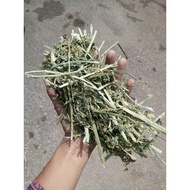 Alfalfa Hay 1 kg Green Fresh For rabbit guinea pig