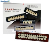 Caiyu Plastic Teeth Blister 28 Teeth, 6 Teeth, 8 Teeth Color A1 A2 A3 A35 Used to Learn Grinding, St