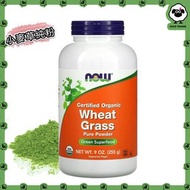 NOW Foods - 【綠色 SuperFood】有機認可小麥草純粉（255g）（平行進口）（新舊包裝隨機發）