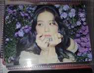 Jisoo 花海秀 小卡 blackpink