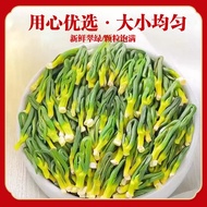 Lotus Seed Core Lotus Seed Core Lotus Seed Tea774411