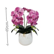 Fast Delivery Artificial Orchid Flowers 60cm Long Stem Type 7 95cm.9 And Plants In Pots Height 40cm.