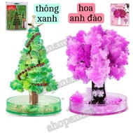 Snowy Pine, Cherry Blossoming tree, magic funny tree, magic sakura, Christmas tree