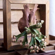 P. 'Foong Si Qi' 捲捲鹿 仿真鹿角蕨相框 皮革工藝