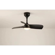 ECONIC ceiling fan "36 with light BEE 36 .