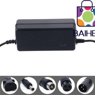 BAIHEE Battery Charger 48V DC Head Lithium Electric Power Supply