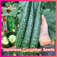 ของแท้ 100% เมล็ดพันธุ์แตงกวา เมล็ดแตงกวาญี่ปุ่น 30เมล็ด Japanese Cucumber Seed Organic Vegetable Se