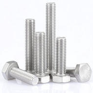 304 Stainless Steel External Hexagon Head Bolt External Hexagon Screw Screw M20/M22/M24
