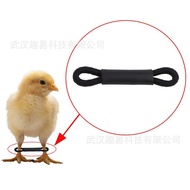 Chick Hobble Bracket Chick Foot Cover Chick Leg Foot Valgus Repair Bracket