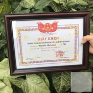 Certificate frame 21 x 30 (A4)