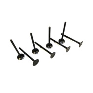 Intake valve, Exhaust valve, Intake and Exhaust valve Kit, a set of 8, for GEELY 08CK-1;CK-1;FC-1;GC
