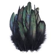 50pcs/pack Black Rooster Feathers Dyed Colorful Natural Pheasant Plumes 15-20cm/6-8 inch Costume Par