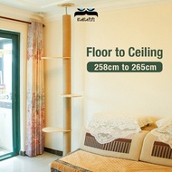 【Floor to Ceiling】Cat Scratching Tree Tower, Cat Tree Height Ceiling Playground, Cat Scratcher Pole, Solid Cat Tree Big