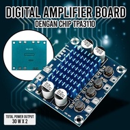 Digital Amplifier Board 30W x 2 TPA3110 | Amplifier